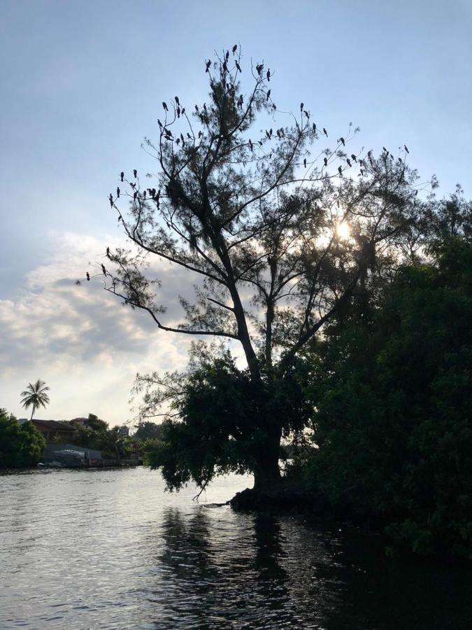 Paraiso Na Ilha Da Gigoia Rio de Janeiro Exterior foto