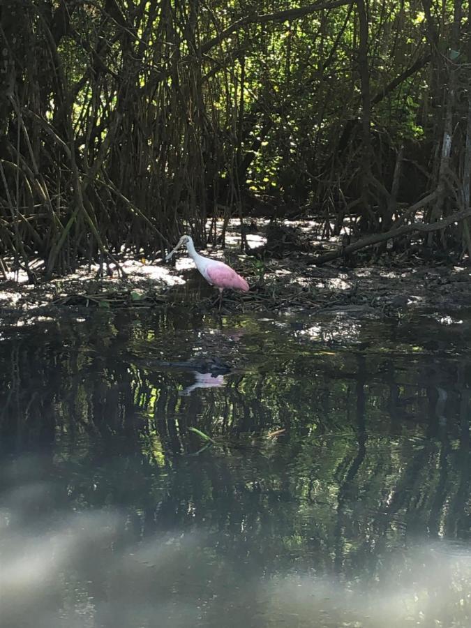 Paraiso Na Ilha Da Gigoia Rio de Janeiro Exterior foto